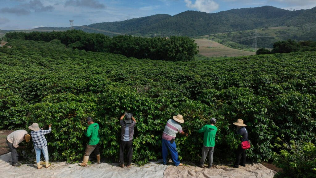 Brasil se prepara para los aranceles de Trump. Los británicos se despiden de Ozzy