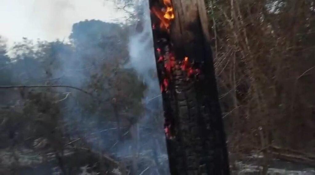 Desaprensivos provocan incendio en redes eléctricas y deja sin luz a más de 20 sectores de Barahona, según Edesur