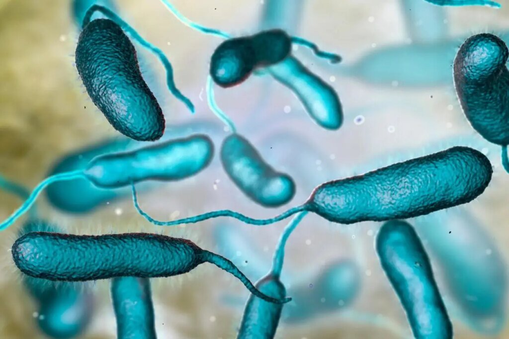 Salud Pública: No hay evidencia, hasta ahora, de “bacteria carnívora” en caso de paciente fallecida