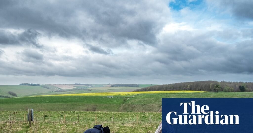 Las personas se reunieron para grandes fiestas de carne al final de la Edad de Bronce Británica, muestra el estudio | Arqueología