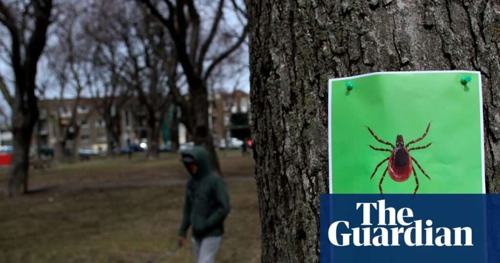 Falló por el NHS sobre la enfermedad de fatiga crónica | Enfermedad de Lyme