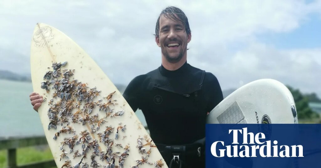 Hombre encuentra una tabla de surf que viajó 2.400 kilómetros desde Australia a Nueva Zelanda y luego encuentra a su dueño | Nueva Zelanda Hombre encuentra una tabla de surf que viajó 2.400 kilómetros desde Australia a Nueva Zelanda y luego encuentra a su dueño | Nueva Zelanda