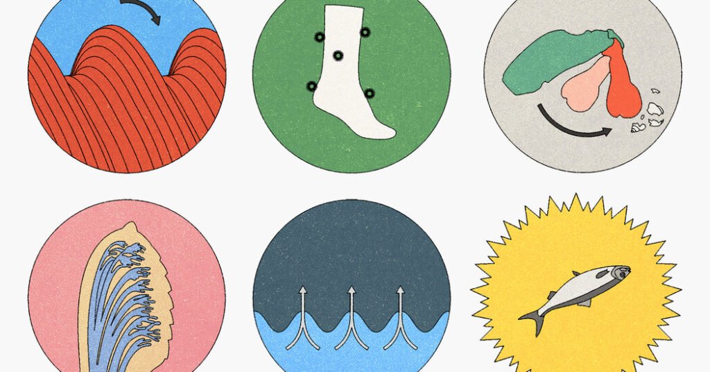 Cómo los inventores encuentran inspiración en la evolución