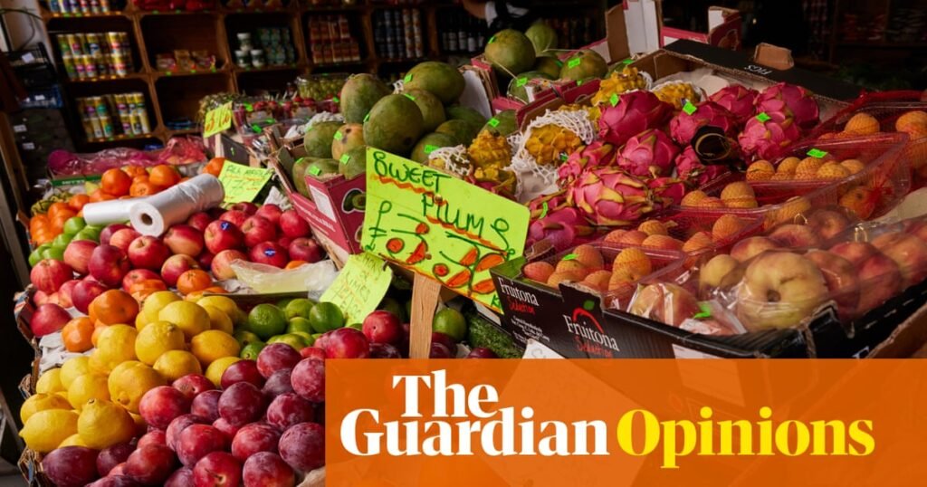 Opinión de The Guardian sobre la seguridad alimentaria: Gran Bretaña ya no puede confiar únicamente en los mercados | Editorial
