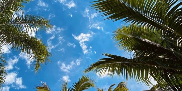 Cielos despejados y algunas lluvias aisladas hoy Clima hoy en República Dominicana: Escasas lluvias y ambiente caluroso