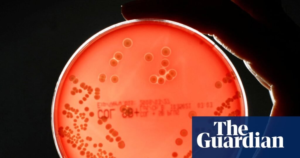La cartera de nuevos fármacos para combatir las superbacterias es «preocupantemente escasa», advierten los expertos | industria farmacéutica La cartera de nuevos fármacos para combatir las superbacterias es "preocupantemente escasa", advierten los expertos | industria farmacéutica
