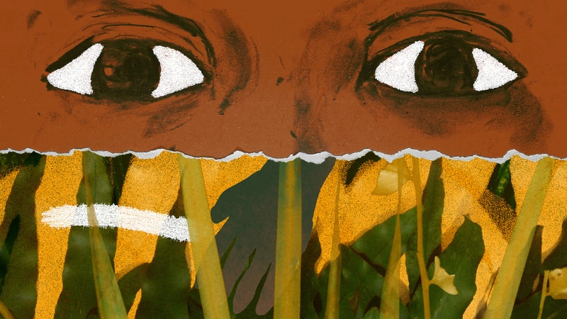 República Dominicana marca presencia en los Premios PLATINO 2026 con “Olivia & Las Nubes”, única finalista del país – Remolacha República Dominicana marca presencia en los Premios PLATINO 2026 con “Olivia & Las Nubes”, única finalista del país - Remolacha