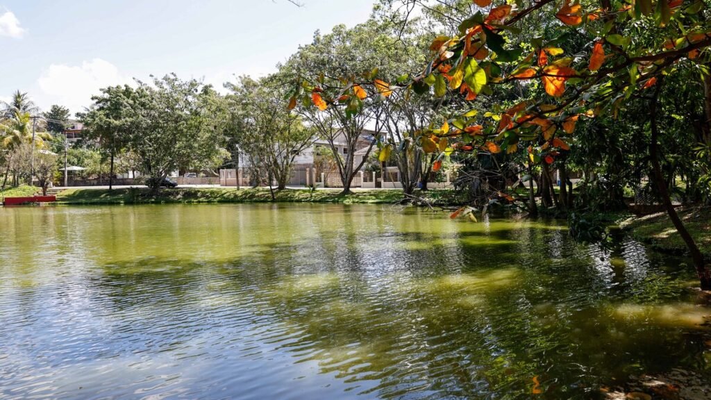 Vecinos luchan por rescatar laguna comunitaria en Paraíso del Caribe Vecinos luchan por rescatar laguna comunitaria en Paraíso del Caribe