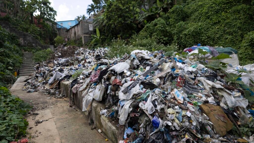 La Barquita: de pulmón verde a zona olvidada por Medio Ambiente