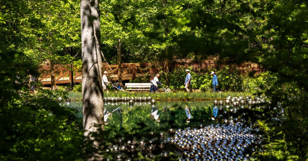 36 horas en Bentonville, Arkansas: cosas para hacer y ver
