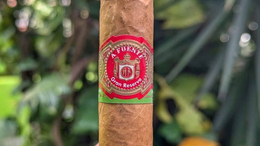El impacto social y económico del tabaco premium en República Dominica