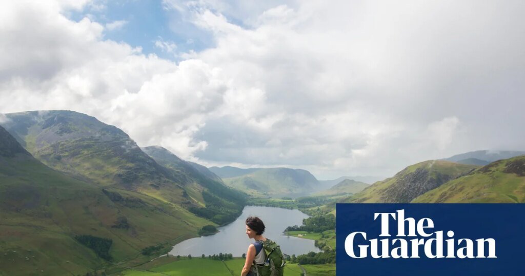 ‘Es un gran sanador’: por qué significa tanto para nosotros estar al aire libre en la naturaleza | Fauna 'Es un gran sanador': por qué significa tanto para nosotros estar al aire libre en la naturaleza | Fauna