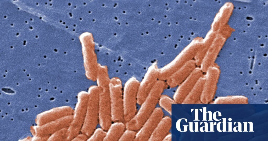 La crisis climática está acelerando la resistencia a los antibióticos en todo el mundo, según un estudio | antibióticos