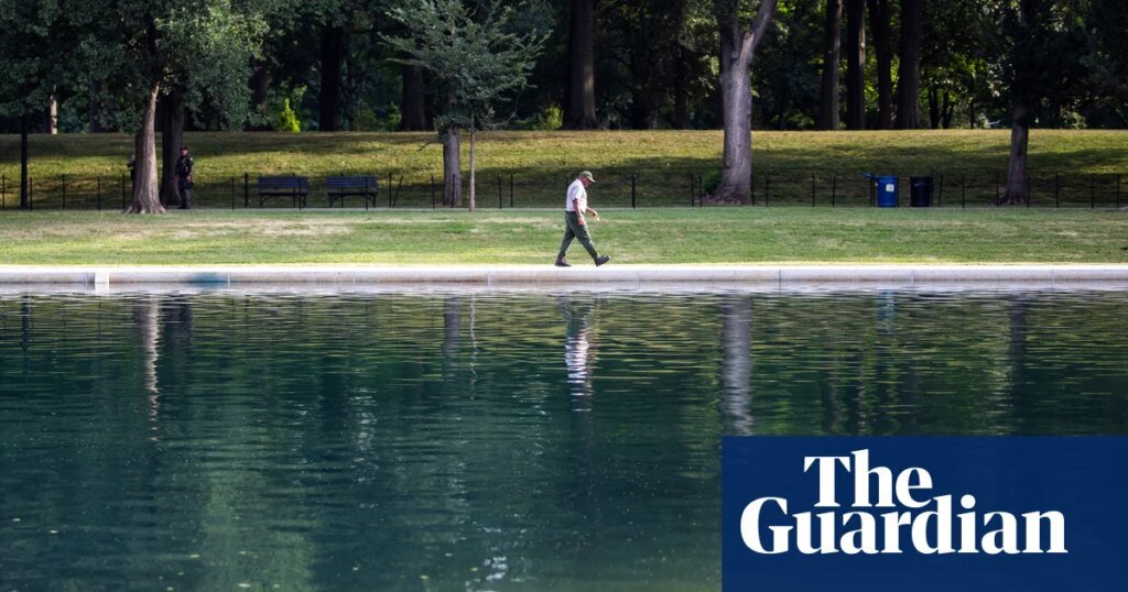 Algas reflectantes en las piscinas: la ciencia que Trump necesita saber – podcast | Ciencia Algas reflectantes en las piscinas: la ciencia que Trump necesita saber – podcast | Ciencia