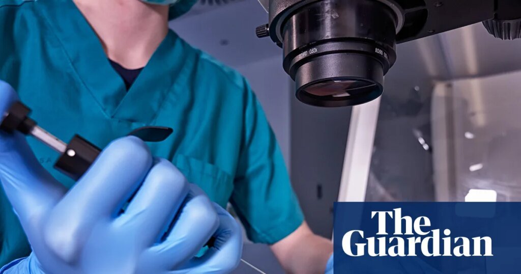 La mayoría de los tratamientos ‘complementarios’ de FIV no tienen ningún efecto sobre la fertilidad o aún no han sido probados, según un estudio | FIV La mayoría de los tratamientos 'complementarios' de FIV no tienen ningún efecto sobre la fertilidad o aún no han sido probados, según un estudio | FIV