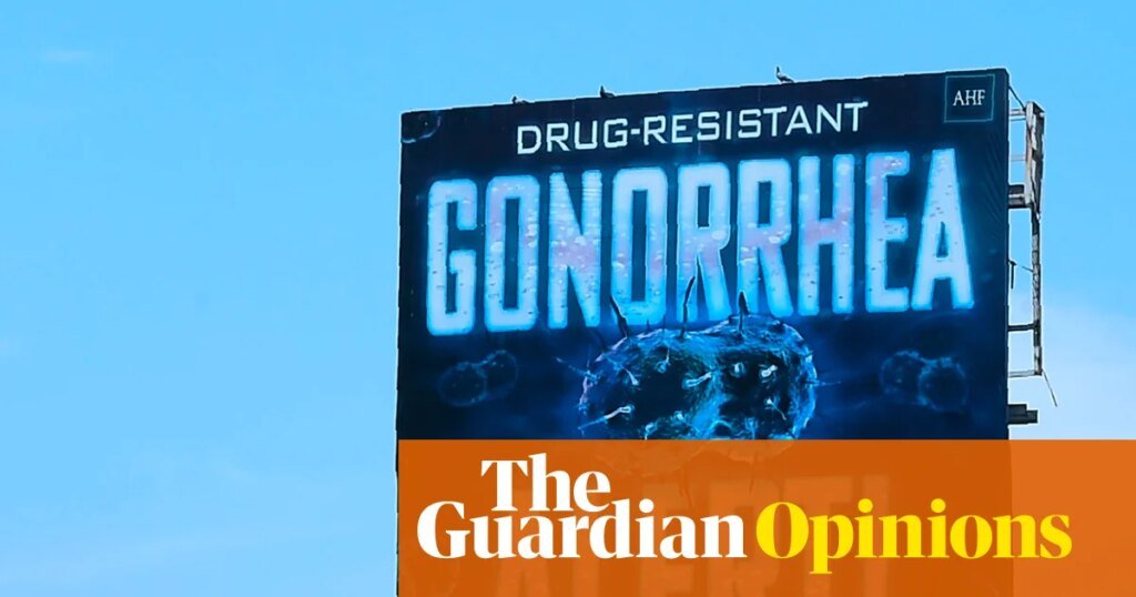 Por qué un aumento de las infecciones de transmisión sexual en Europa debería preocupar a todos | Peter Beyer Por qué un aumento de las infecciones de transmisión sexual en Europa debería preocupar a todos | Peter Beyer