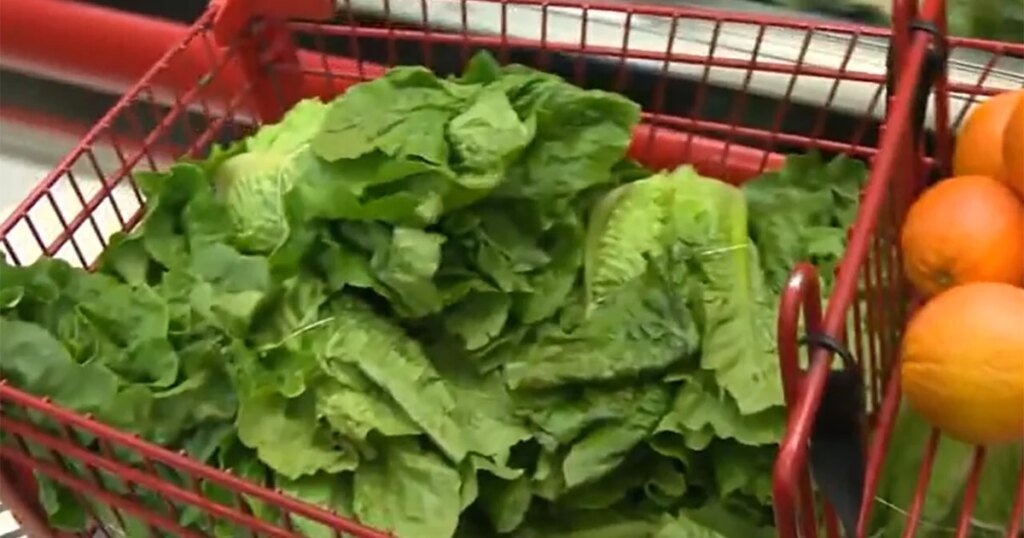 Cómo los recortes administrativos de Trump han comprometido la seguridad alimentaria Cómo los recortes administrativos de Trump han comprometido la seguridad alimentaria