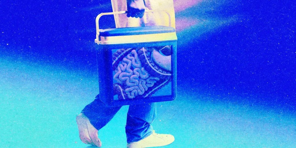 La búsqueda para mantener vivos los órganos fuera del cuerpo