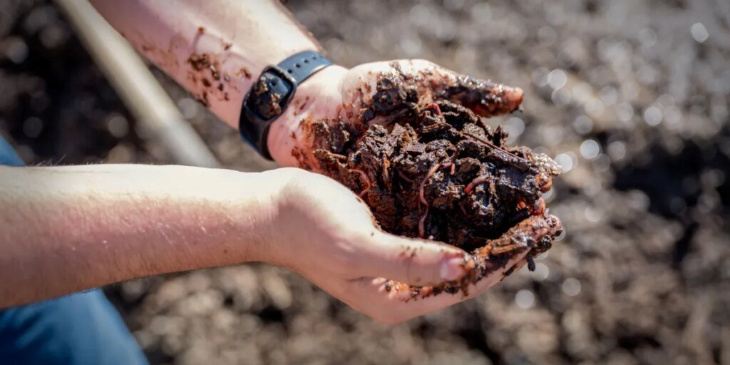 La descarga: los gusanos luchan contra la contaminación y la geoingeniería se enfrenta a la realidad La descarga: los gusanos luchan contra la contaminación y la geoingeniería se enfrenta a la realidad