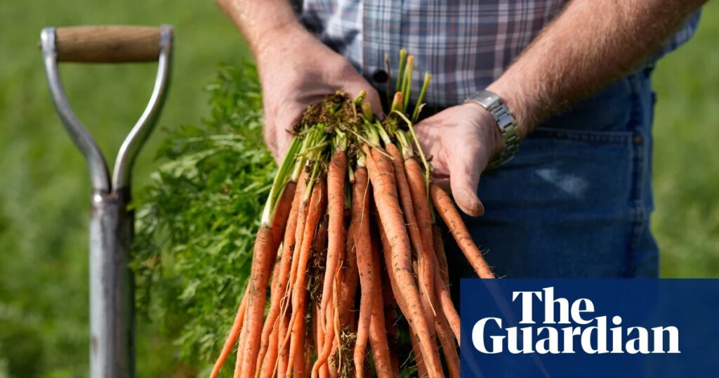 Los nutrientes de nuestros alimentos están disminuyendo. ¿Puede la agricultura regenerativa salvarlo? | Verduras Los nutrientes de nuestros alimentos están disminuyendo. ¿Puede la agricultura regenerativa salvarlo? | Verduras